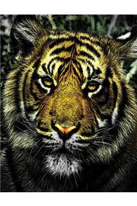 Tiger Notebook