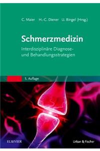 Die Schmerzmedizin