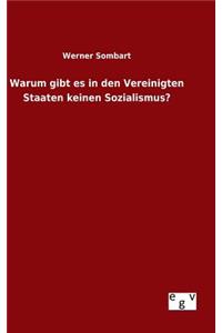 Warum gibt es in den Vereinigten Staaten keinen Sozialismus?