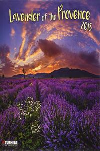 Lavender of the Provence 2018