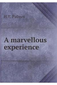 A Marvellous Experience