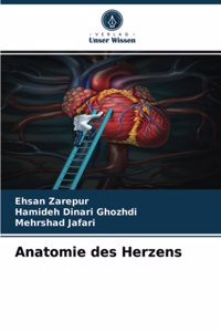 Anatomie des Herzens