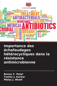 Importance des échafaudages hétérocycliques dans la résistance antimicrobienne