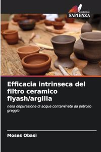 Efficacia intrinseca del filtro ceramico flyash/argilla