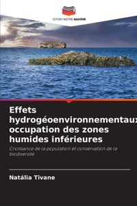 Effets hydrogéoenvironnementaux, occupation des zones humides inférieures