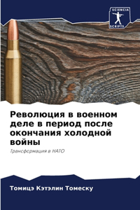 Революция в военном деле в период после ок
