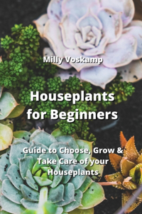 Houseplants for Beginners