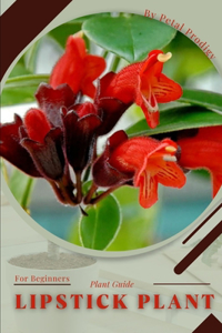 Lipstick Plant