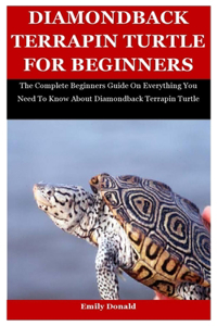 Diamondback Terrapin Turtle For Beginners