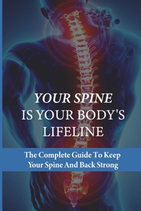 Your Spine Is Your Body's Lifeline
