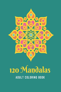 120 MANDALAS adult coloring book