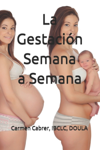 Gestación Semana a Semana