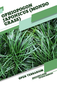 Ophiopogon japonicus (Mondo Grass)