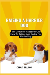 Raising a Harrier Dog