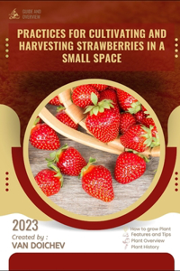 Practices for cultivating and harvesting strawberries in a small space