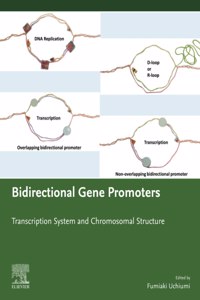 Bidirectional Gene Promoters