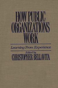 How Public Organizations Work