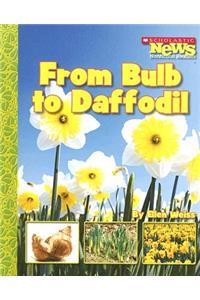 From Bulb to Daffodil (Scholastic News Nonfiction Readers: How Things Grow)
