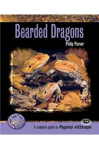 Bearded Dragons