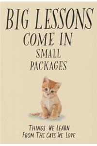 Big Lessons Come in Small Packages