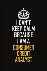 I Can't Keep Calm Because I Am A Consumer Credit Analyst