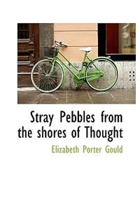 Stray Pebbles from the Shores of Thought