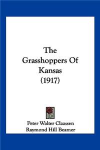The Grasshoppers Of Kansas (1917)