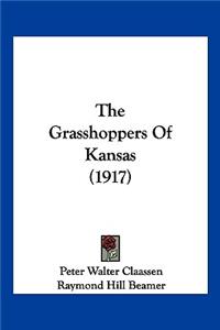 Grasshoppers Of Kansas (1917)