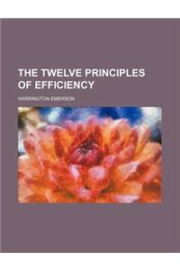 The Twelve Principles of Efficiency