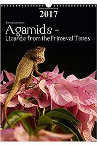 Agamids - Lizards from the Primeval Times 2017
