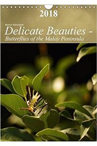 Delicate Beauties - Butterflies of the Malay Peninsula 2018