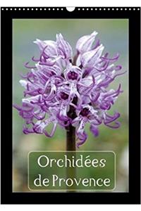 Orchidees De Provence 2018