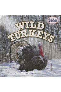 Wild Turkeys