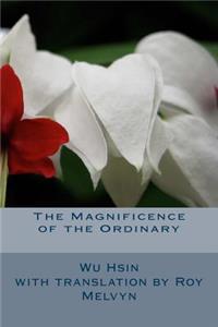 Magnificence of the Ordinary