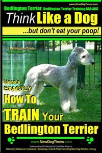 Bedlington Terrier, Bedlington Terrier Training AAA Akc