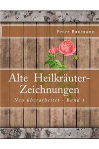 Alte Heilkräuter-Zeichnungen
