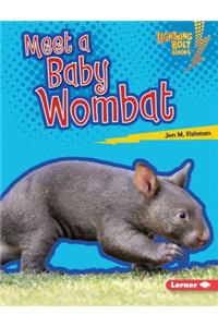 Meet a Baby Wombat