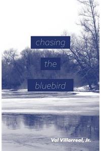 Chasing the Bluebird