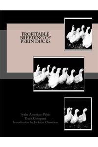Profitable Breeding of Pekin Ducks