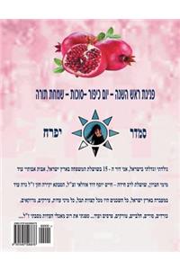 hebrew book - pearl for holidays - New Year - Yom Kippur Sukot - Simchat Torah