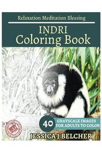 Indri Coloring Book for Adults Relaxation Meditation Blessing