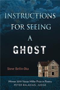 Instructions for Seeing a Ghost