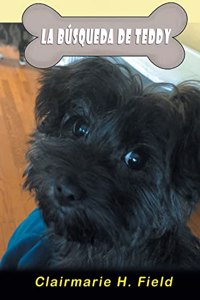 búsqueda de Teddy
