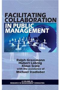 Facilitating Collaboration in Public Management (Hc)