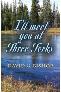 I'll Meet You at Three Forks