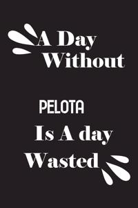A day without pelota is a day wasted