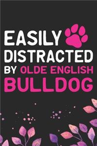 Easily Distracted by Olde English Bulldog