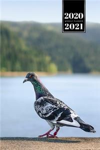 Pigeon Ornithology Bird Watching Birding Week Planner Weekly Organizer Calendar 2020 / 2021 - At the Lake