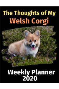 The Thoughts of My Welsh Corgi