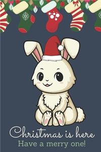 Christmas Is Here Have A Merry One